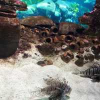旅遊推介 吉隆坡-城中城水族館