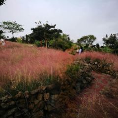 Manor Blanc User Photo