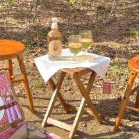 📌mimi picnic rental