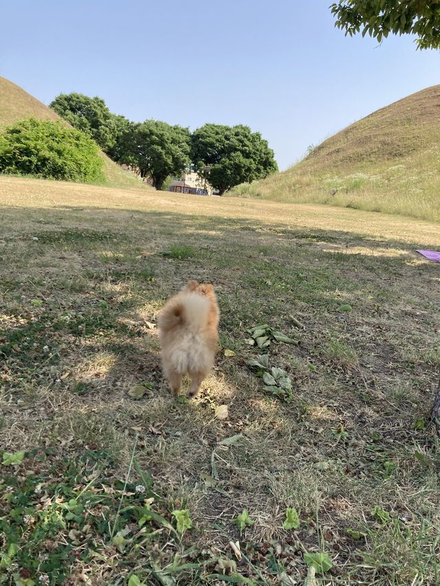 경주 숨겨진 여행지