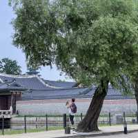 [서울] 경복궁