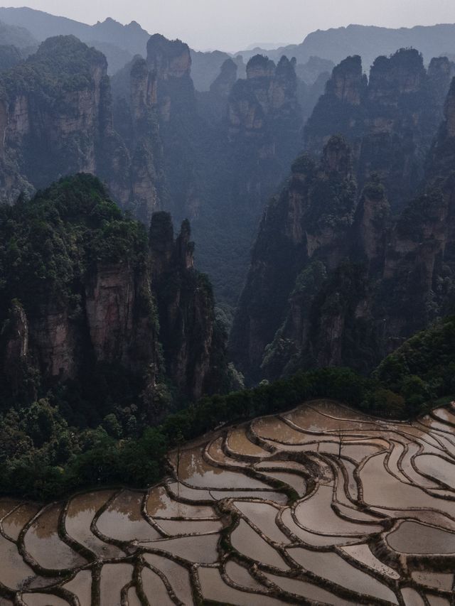 Zhangjiajie National Park