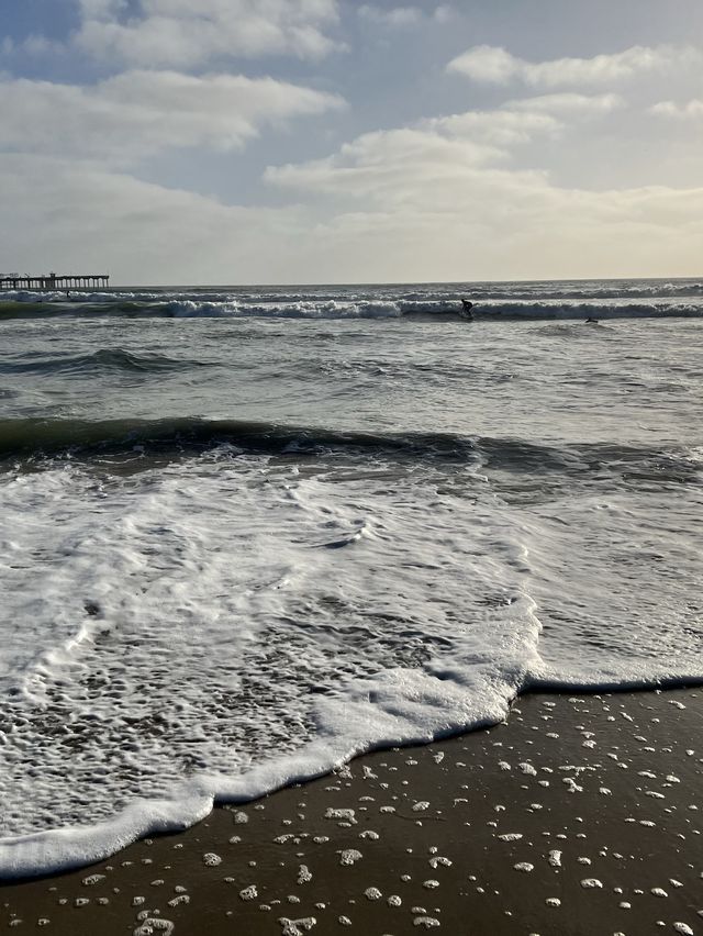샌디에고 오션비치🌊