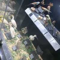 Amazing zooalogical museum 