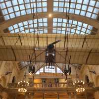 Fun free attraction in city centre 
