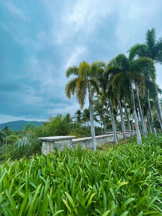 Relax at the Hilton, Yalong Bay, Sanya🌴🌿🥥