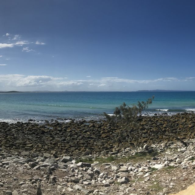 Sunshine Coast 陽光海岸 ～ 比黃金海岸更值得去