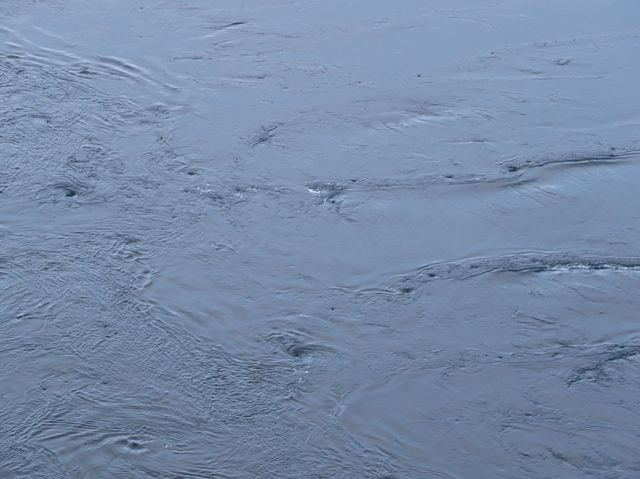 挪威北極地區薩爾特流
