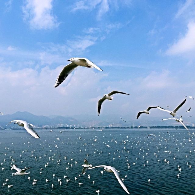 Dian Chi Lake strolling....