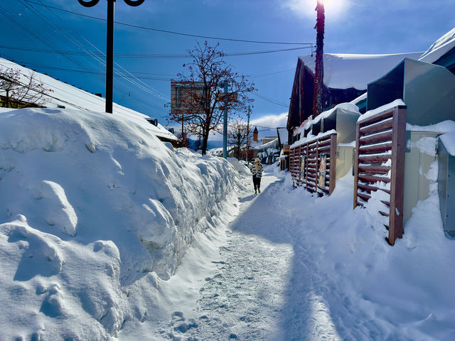 Hokkaido Otaru check-in guide + food!