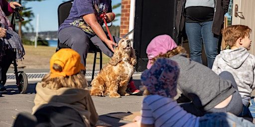 Dog Day Out | Museum of Art and Culture yapang, Lake Macquarie