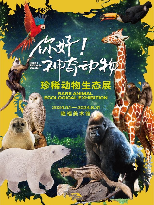《你好！神奇動物》珍稀動物生態展｜展覽休閒 | 隆福美術館