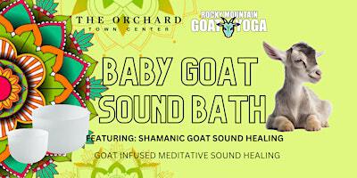 Baby Goat Sound Bath - December 21st (THE ORCHARD TOWN CENTER) | 14644 Orchard Pkwy suite 900