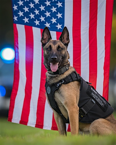 Second Annual Irondog K9 International Golf Outing | Southern Dunes Golf Course