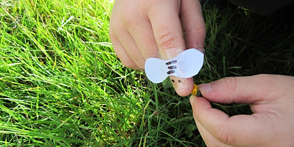 Mini Explorers on Ashdown Forest | Ashdown Forest Centre