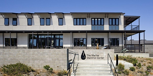 Visit The Marine Mammal Center | The Marine Mammal Center