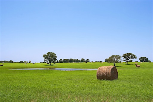 An Exciting Scavenger Hunt! - Marlin Mischief & Mystery Hunt | 133 Heritage Row