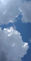 nariview