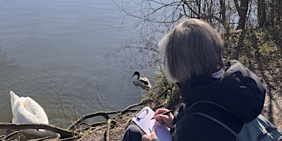 Mindful Nature Sketching Workshop at Attenborough Nature Reserve | Attenborough Nature Reserve - Parking at ANC