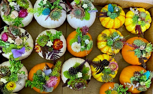 Pumpkin Decorating Workshop | Patio Gardens