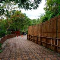 ธรรมชาติบำบัด