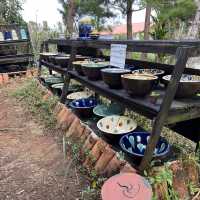 【沖縄･本島】掘り出し物もアリ‼️個性豊かな陶芸たち