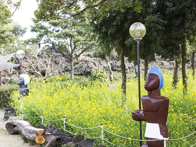 유채꽃 만개 제주 허브동산