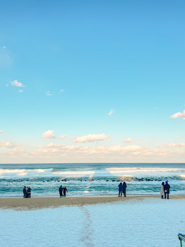 [강릉] 2021 마지막 해돋이명소 눈쌓인 강문해변🌊