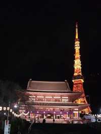 【東京】東京プリンスホテル お部屋の景色(夜編)