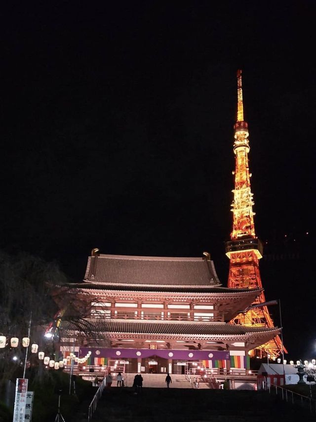 【東京】東京プリンスホテル お部屋の景色(夜編)