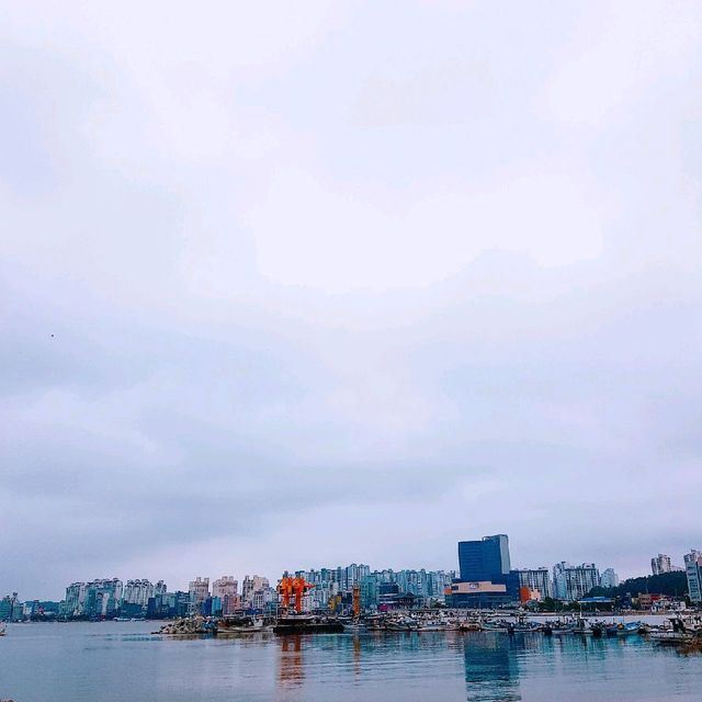 [오후애] 다쿠아즈가 맛있는 포항 영일대 오션뷰 카페