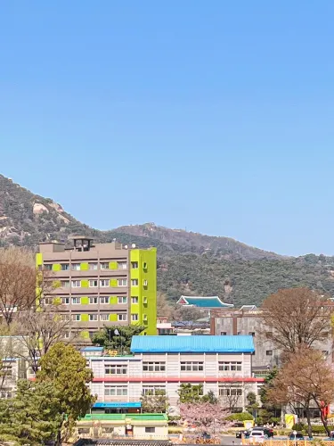 실시간) 서울 벚꽃뷰 카페 주말에 달려가야합니다!!🏃‍♂️🏃‍♀️
