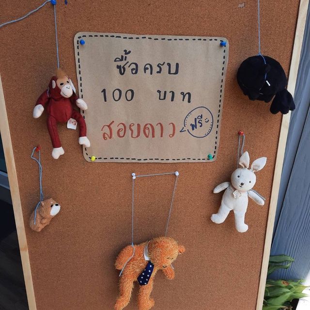 หายใจทิ้ง คือ ชื่อคาเฟ่ในสวนมะพร้าว อัมพวา