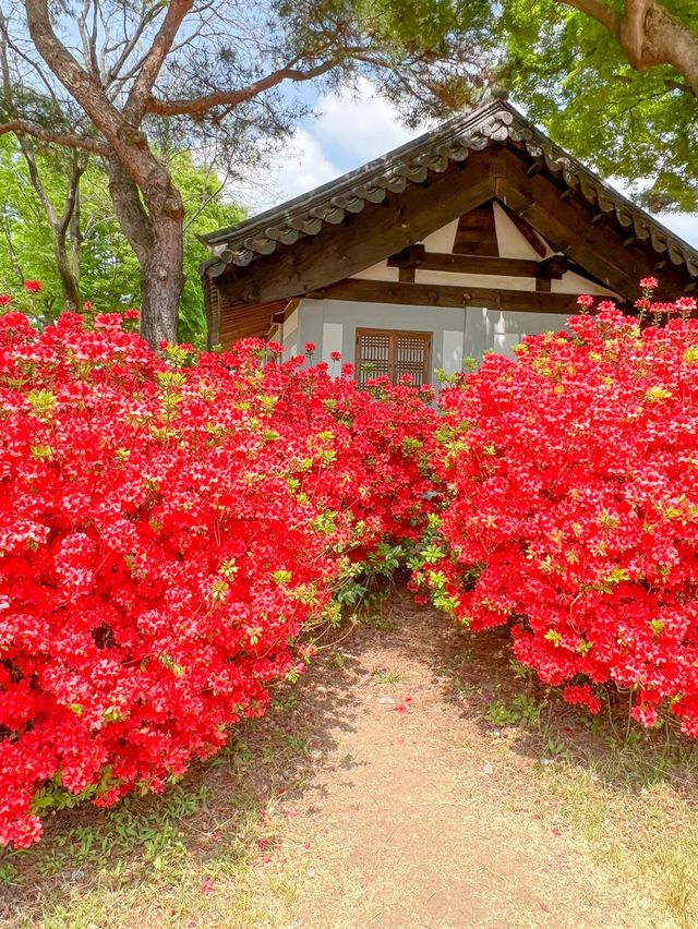 태조 이성계의 어진이 봉안되어있는 전주 '경기전'