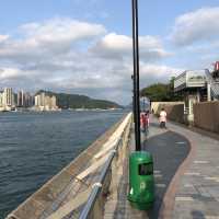 環境優美嘅鰂魚涌公園