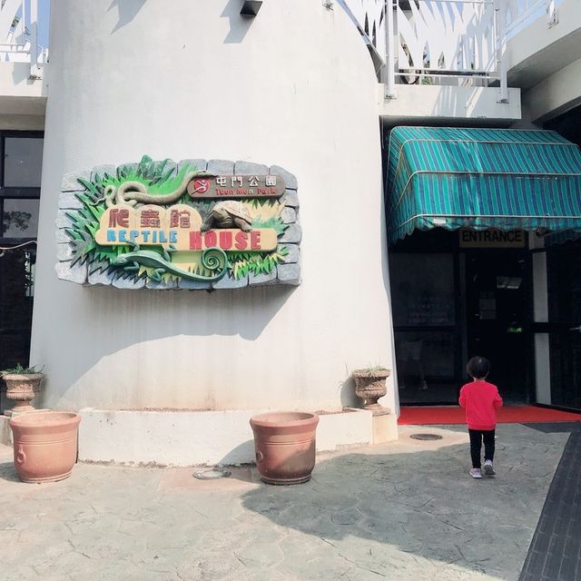免費增進爬蟲類動物小知識