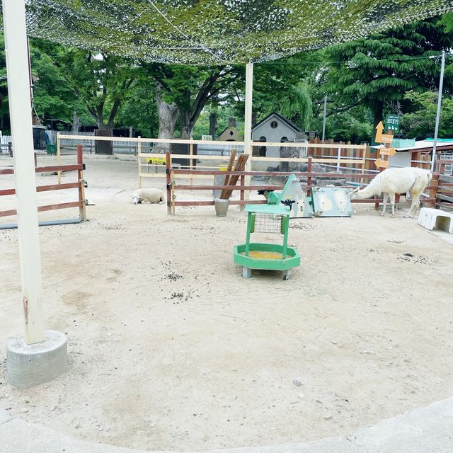 【神戸】神戸の動物園といえばここ❣️神戸市立王子動物園🐼