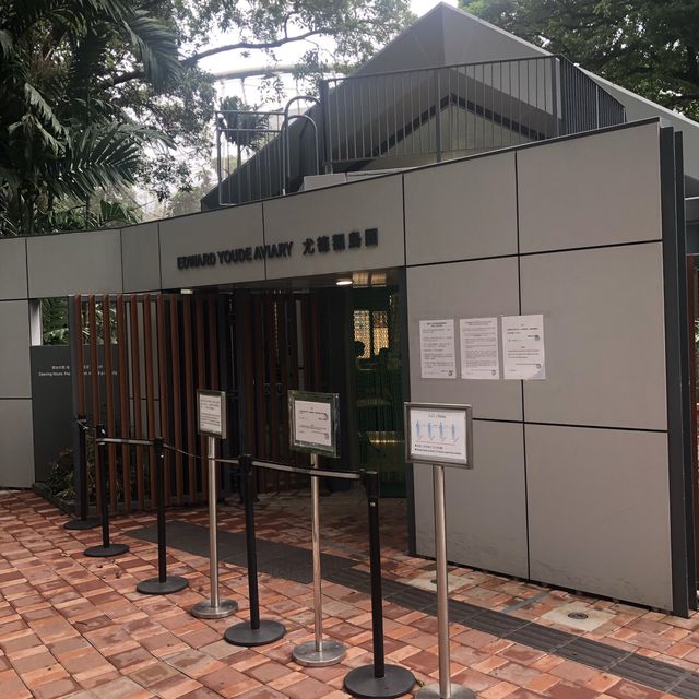 近距離觀賞雀鳥
