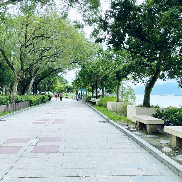 水清沙幼的泳灘！