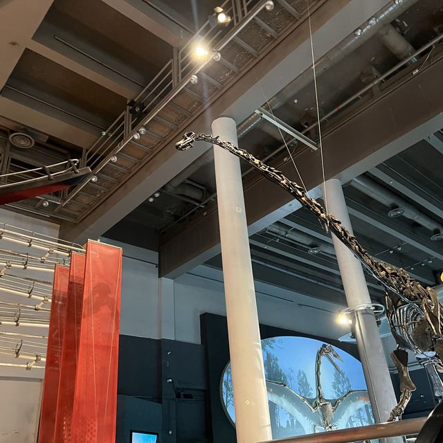 8大恐龍展