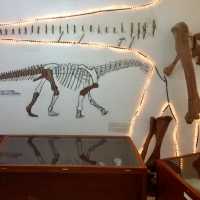 The Savannakhet Dinosaur Museum