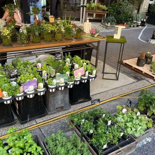 有名店シェシバタも出店！大人気のお祭り〜！
