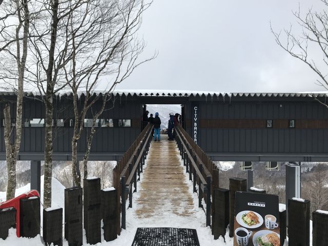 【長野】海外のような絶景に包まれる！ハクバマウンテンハーバーをご紹介