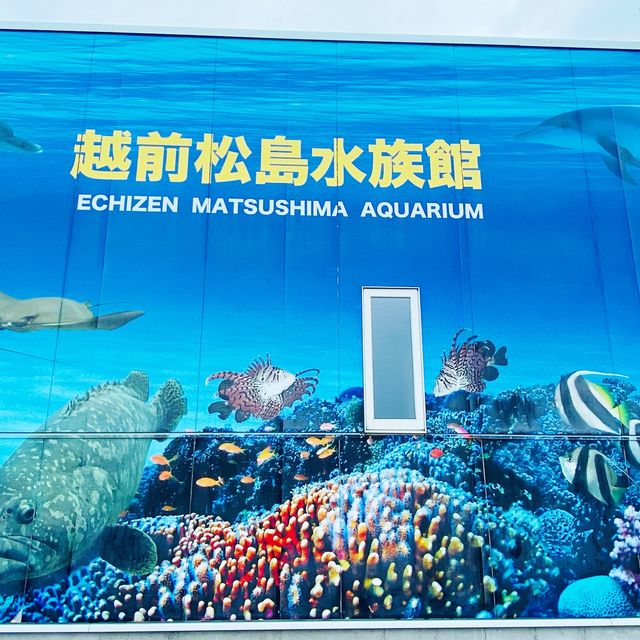 AQUARIUM PLACE 