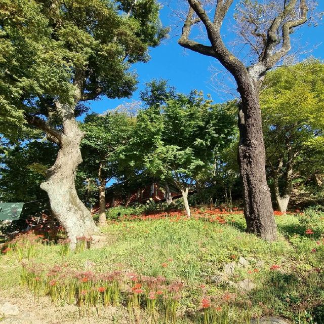 인첨 강화도의 최대절 전등사 투어
