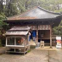 日本極樂寺與長命杉