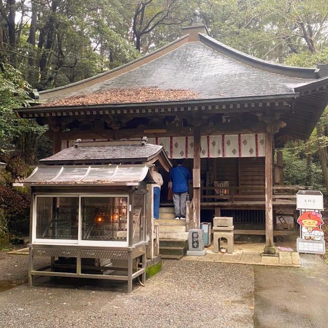 日本極樂寺與長命杉