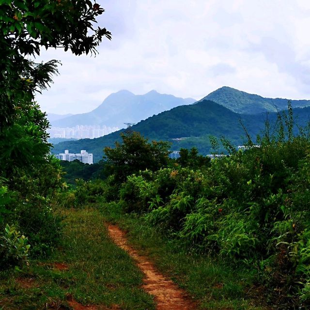 社山