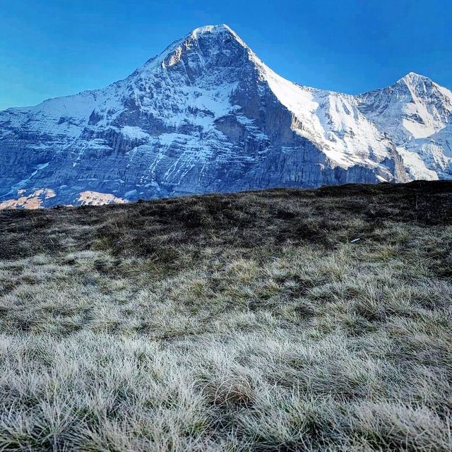 The Tallest Mountain In Europe - Jungfrau 