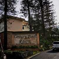 Best Hotel in Cameron Highland ❤